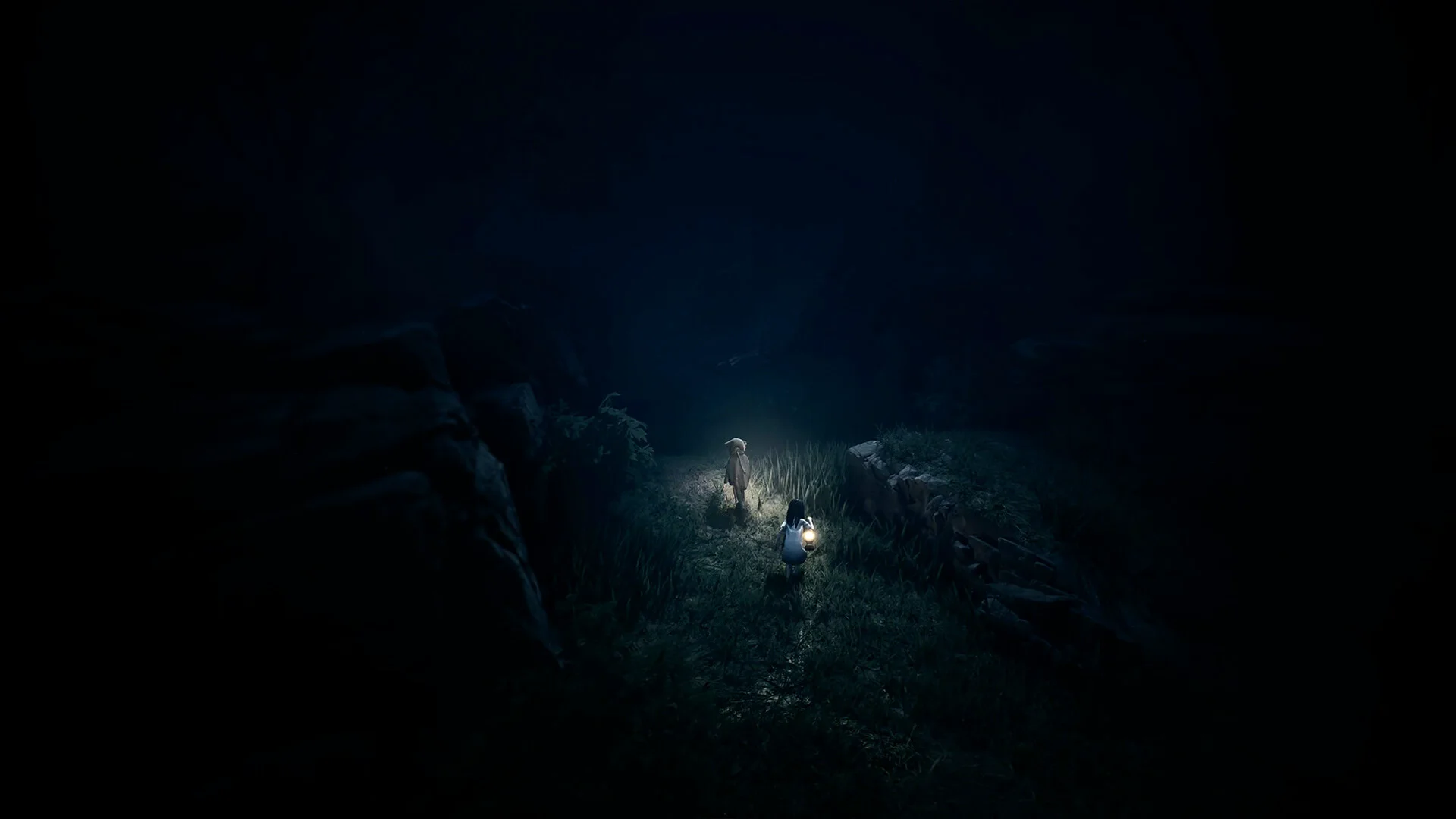 REANIMAL screenshot 9
