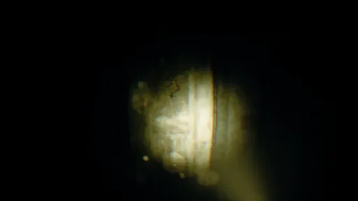 REC: Beyond The Lens screenshot 5