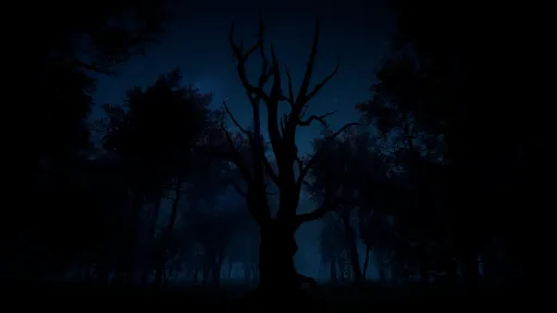 Slender: The Arrival screenshot 8