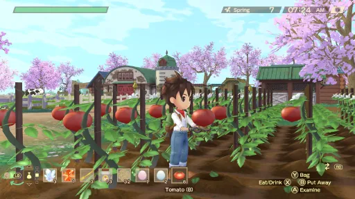 STORY OF SEASONS: A Wonderful Life screenshot 7