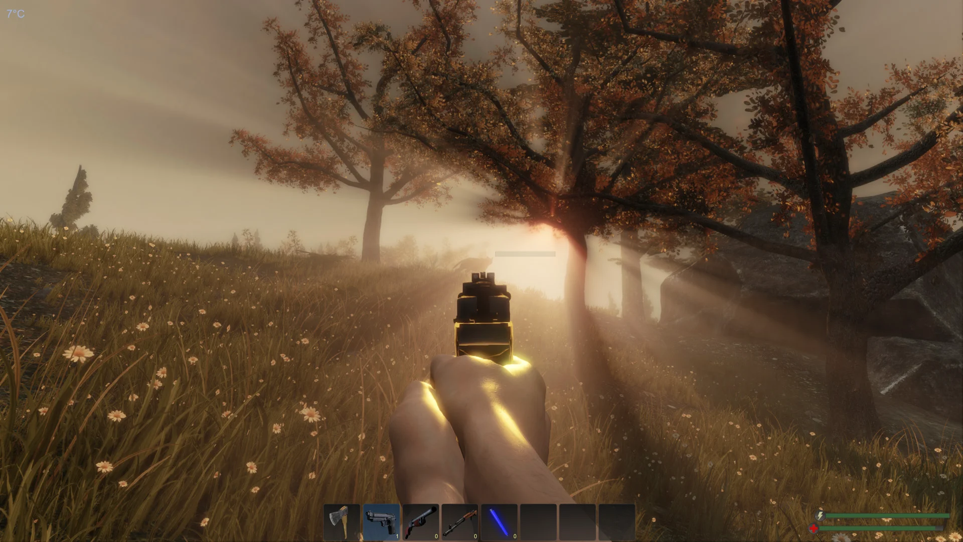 Subsistence screenshot 10