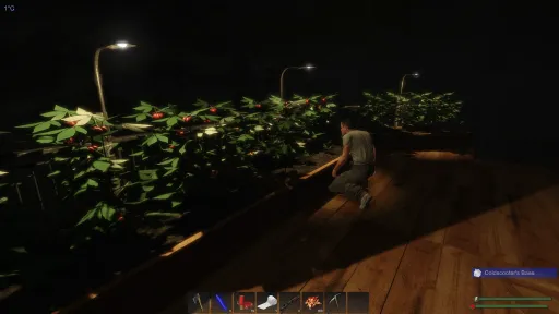 Subsistence screenshot 40
