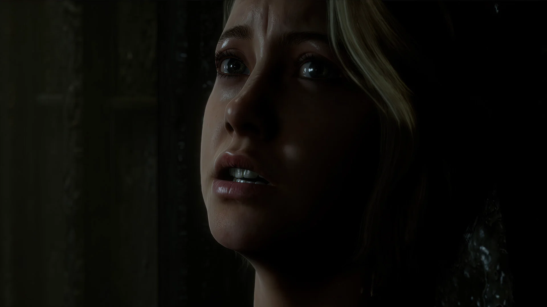 The Dark Pictures Anthology: Man of Medan screenshot 10
