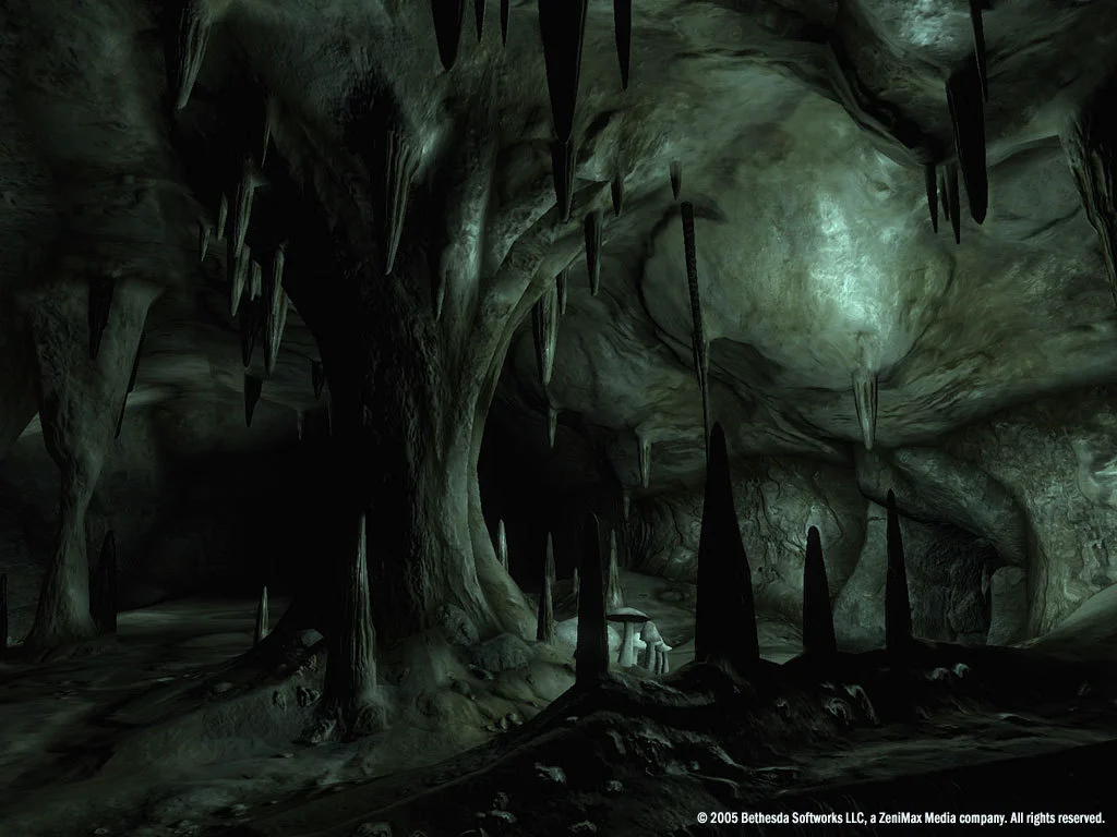 The Elder Scrolls IV: Oblivion® Game of the Year Edition (2009) screenshot 10