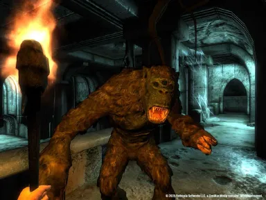 The Elder Scrolls IV: Oblivion® Game of the Year Edition (2009) screenshot 13