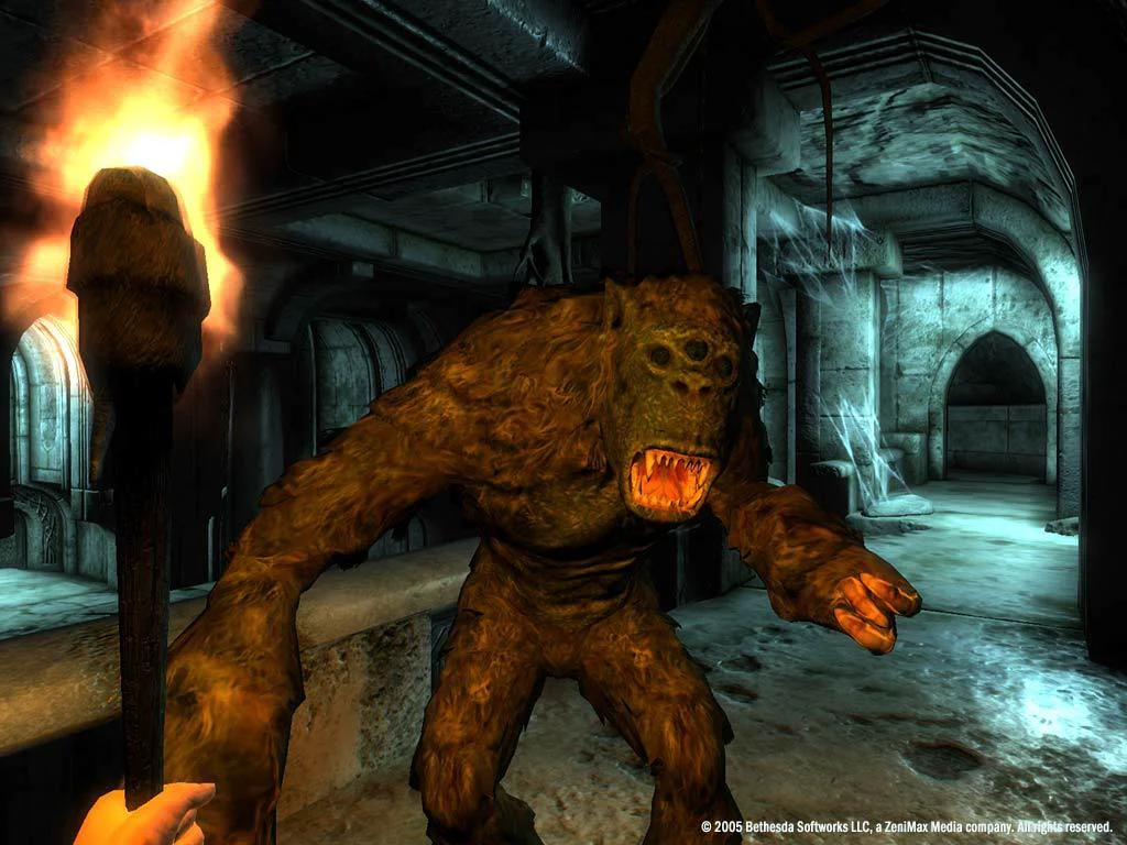 The Elder Scrolls IV: Oblivion® Game of the Year Edition (2009) screenshot 13