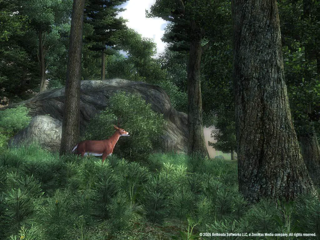 The Elder Scrolls IV: Oblivion® Game of the Year Edition (2009) screenshot 14