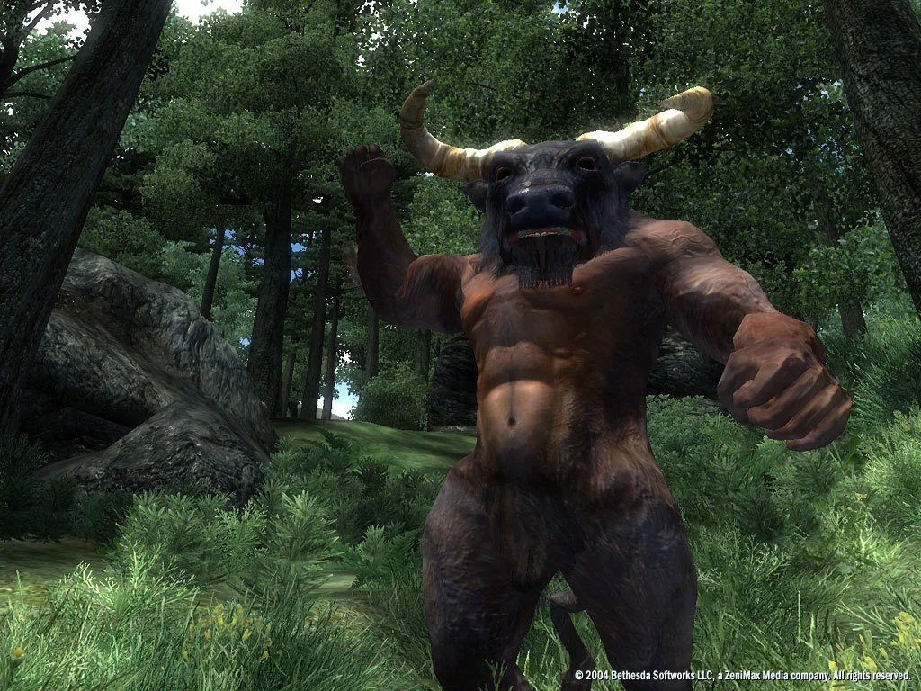 The Elder Scrolls IV: Oblivion® Game of the Year Edition (2009) screenshot 18