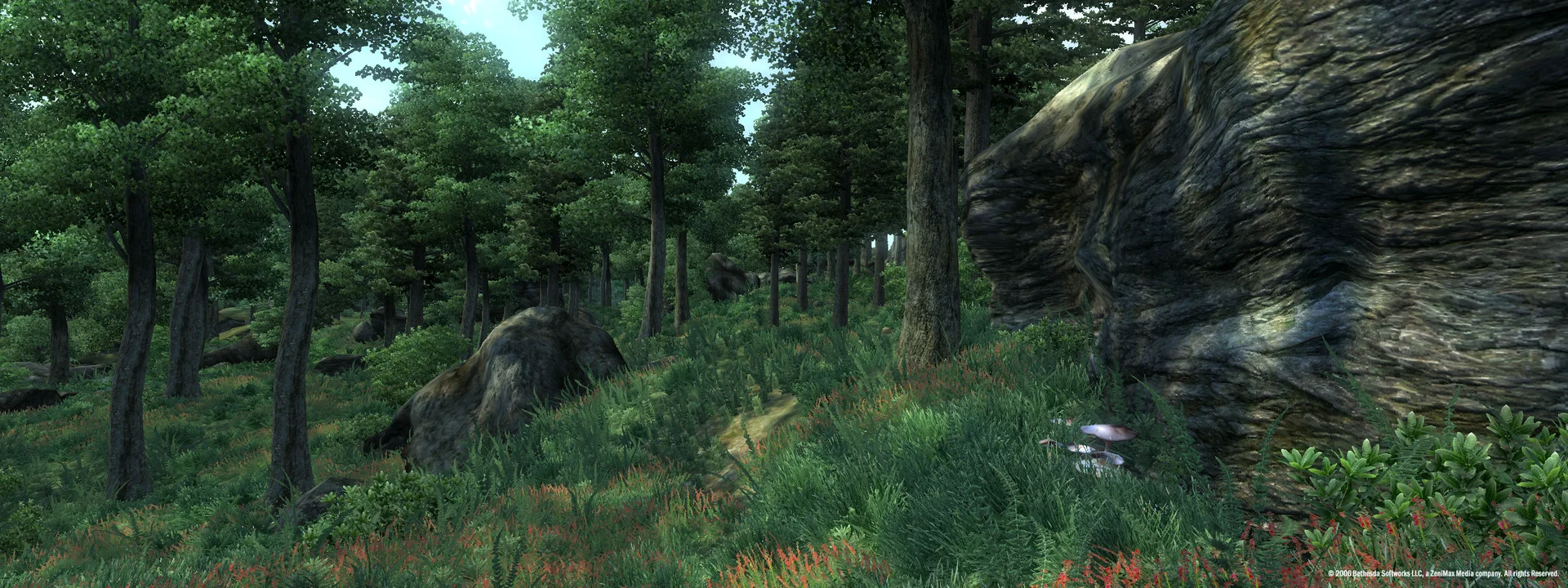 The Elder Scrolls IV: Oblivion® Game of the Year Edition (2009) screenshot 2