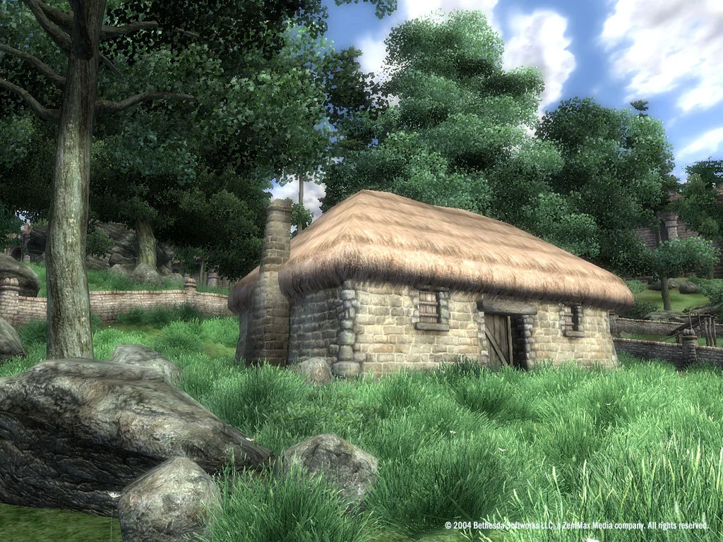 The Elder Scrolls IV: Oblivion® Game of the Year Edition (2009) screenshot 24