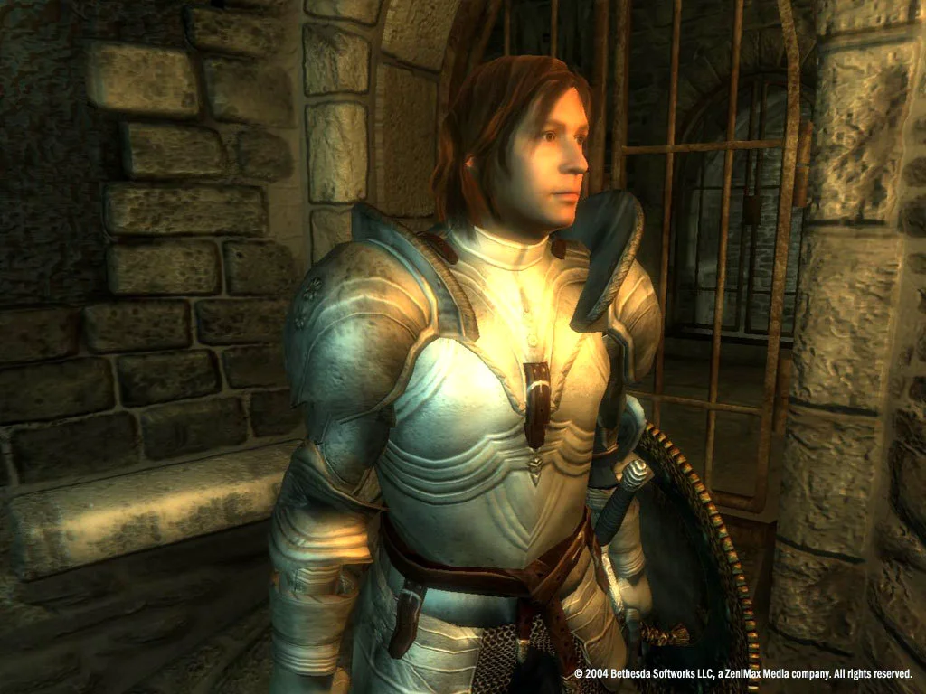 The Elder Scrolls IV: Oblivion® Game of the Year Edition (2009) screenshot 27