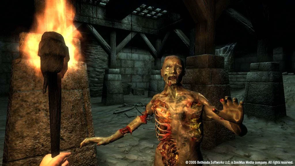 The Elder Scrolls IV: Oblivion® Game of the Year Edition (2009) screenshot 6