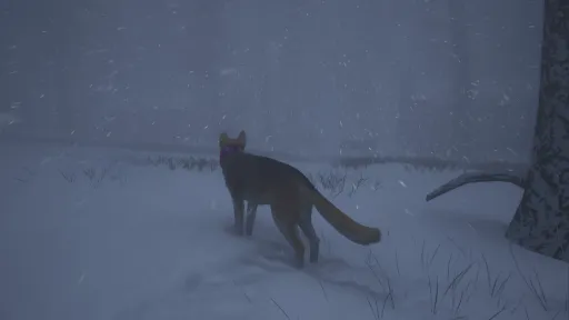 The Good Dog: Chasing Shadows screenshot 5