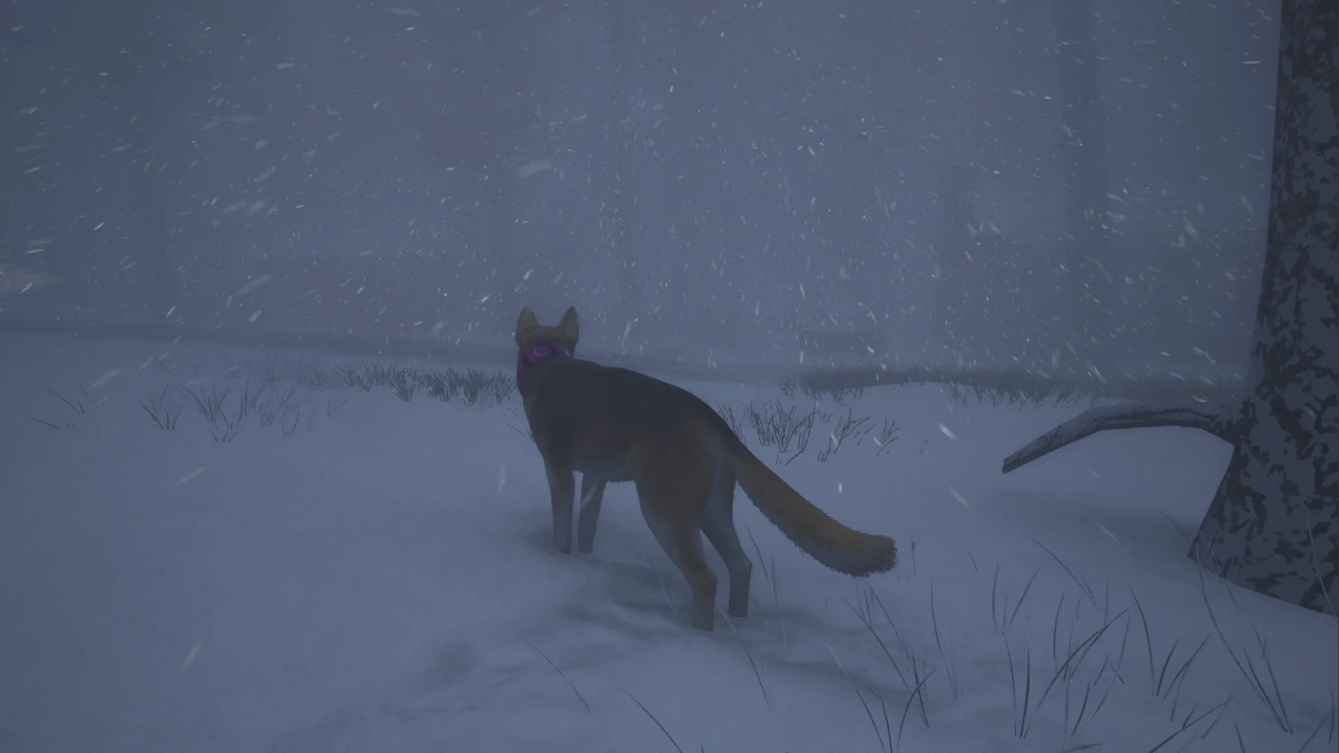 The Good Dog: Chasing Shadows screenshot 5