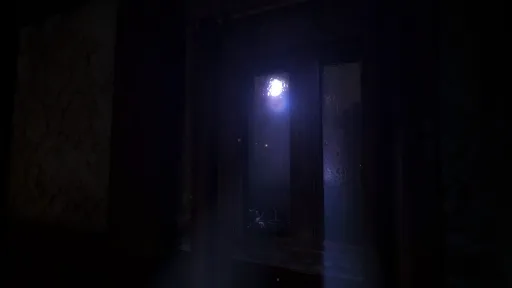 The Guest screenshot 8