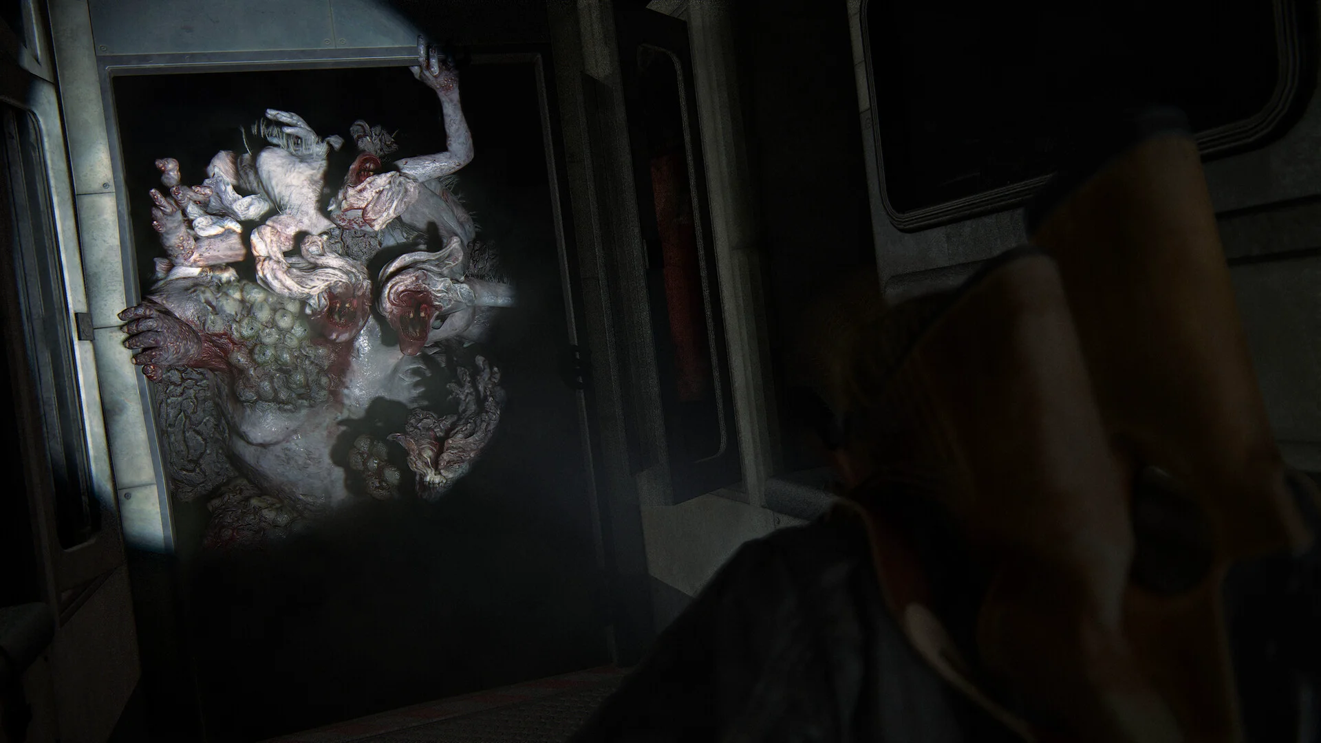 The Last of Us™ Part II Remastered screenshot 9