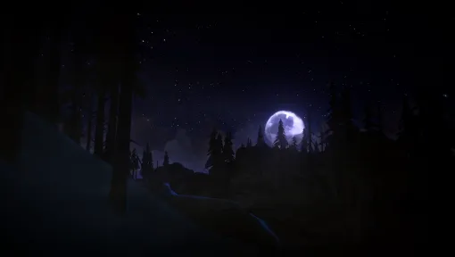 The Long Dark screenshot 11