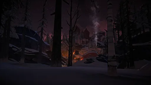 The Long Dark screenshot 21