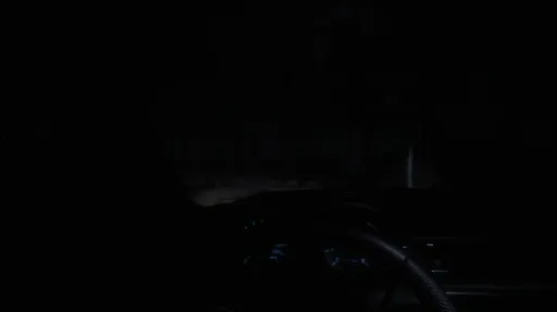 The Stalked screenshot 11
