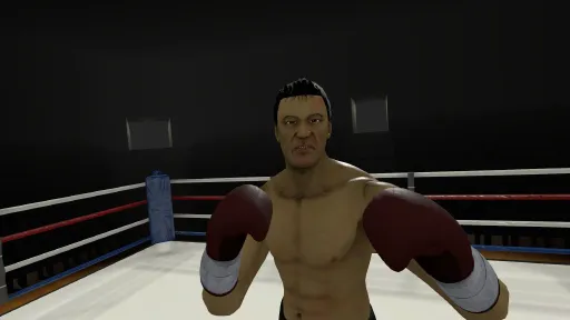 The Thrill of the Fight - VR Boxing screenshot 4