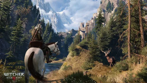 The Witcher 3: Wild Hunt screenshot 17