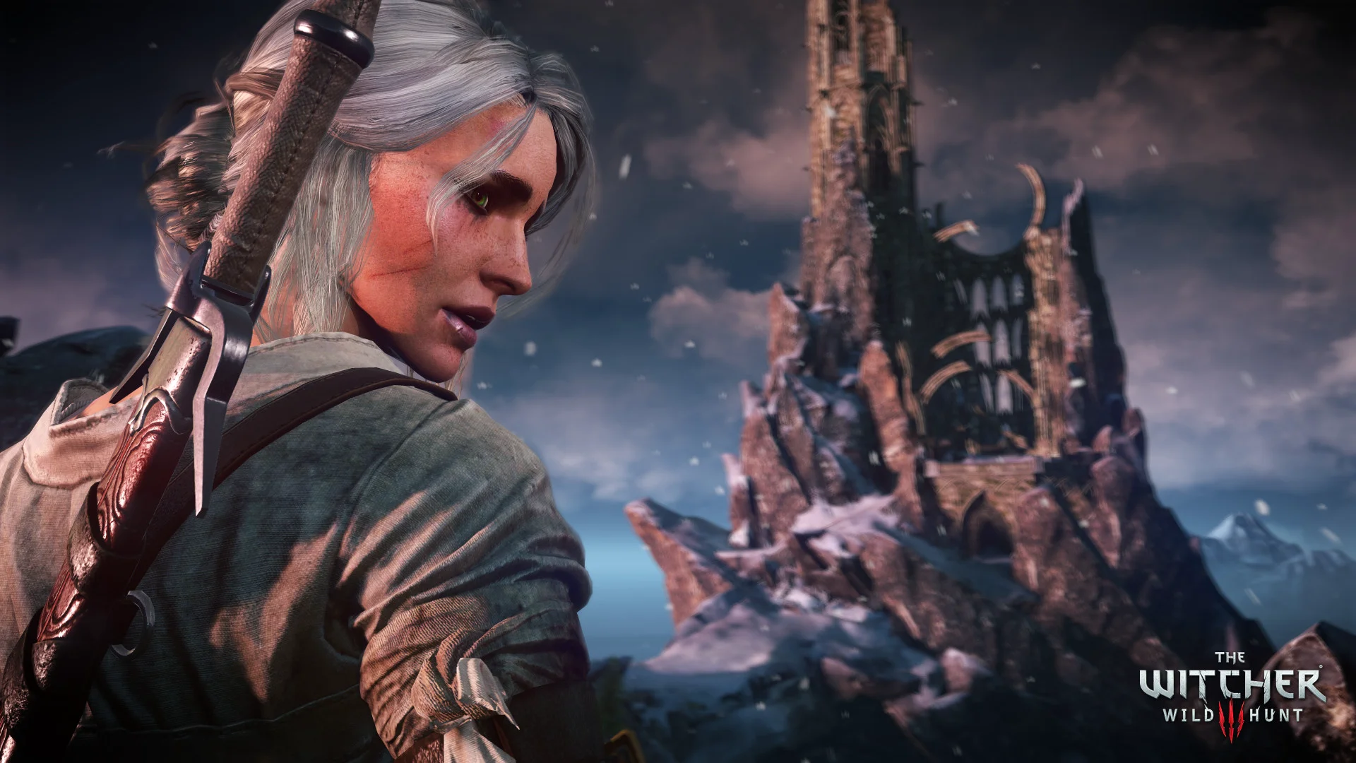 The Witcher 3: Wild Hunt screenshot 9