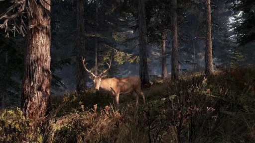 This Land Is My Land screenshot 8