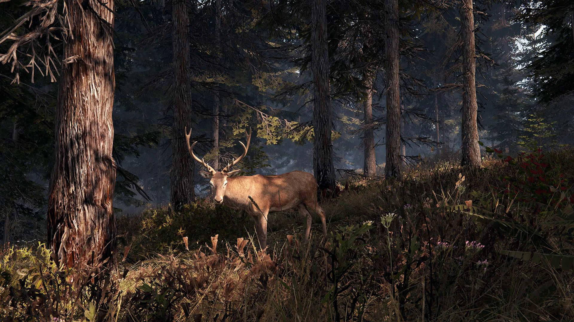 This Land Is My Land screenshot 8