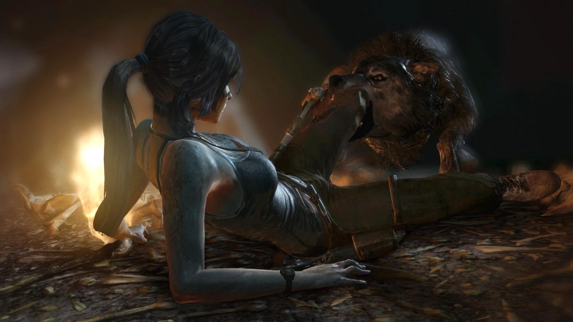 Tomb Raider screenshot 3