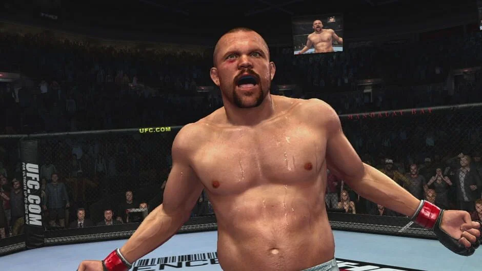 UFC 2009 Undisputed screenshot 10