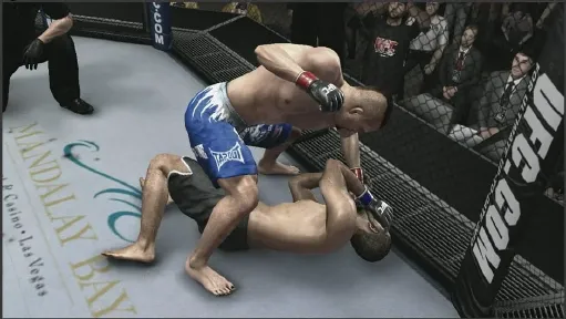 UFC 2009 Undisputed screenshot 19