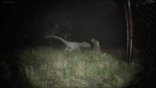Unknown Tapes screenshot 7