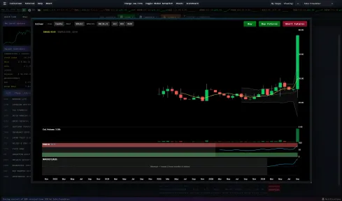 Wall Street Raider screenshot 1