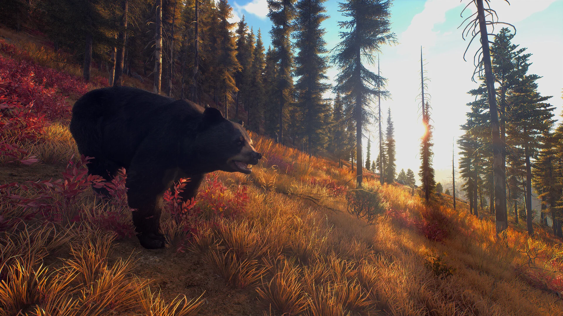 Way of the Hunter screenshot 11