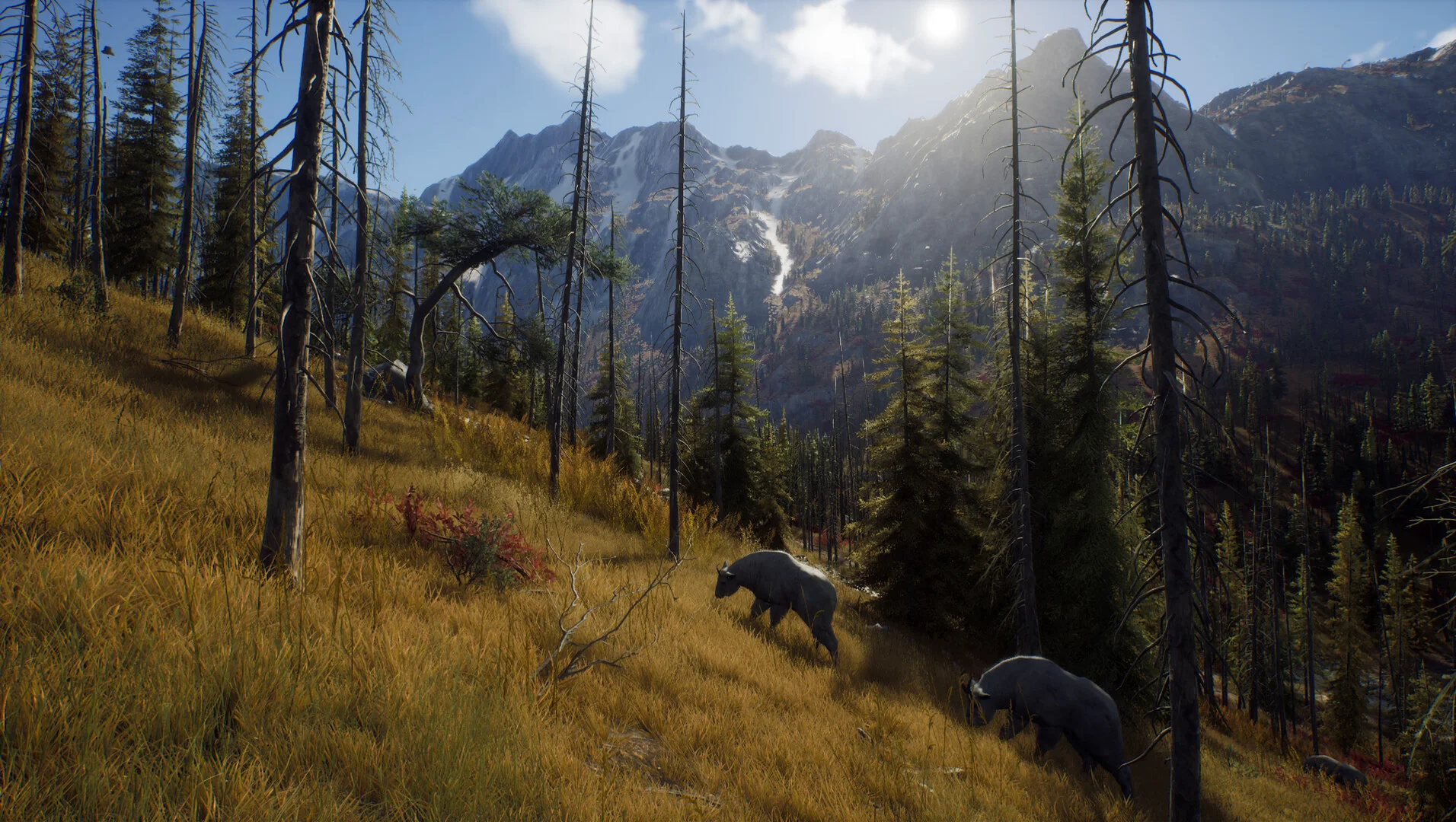 Way of the Hunter screenshot 15