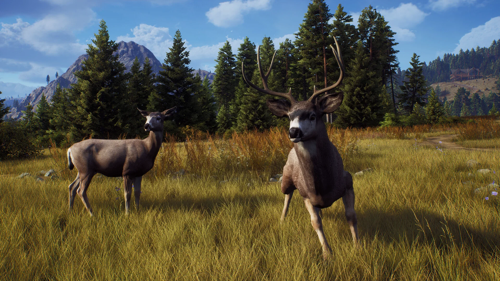 Way of the Hunter screenshot 17