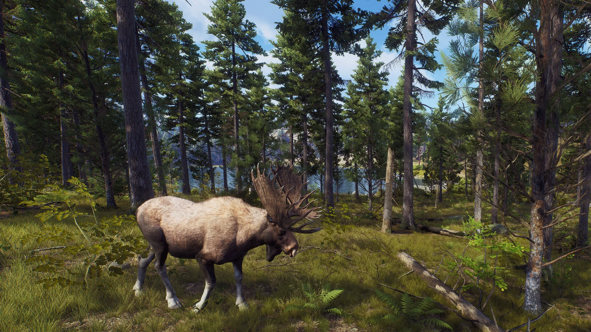 Way of the Hunter screenshot 18