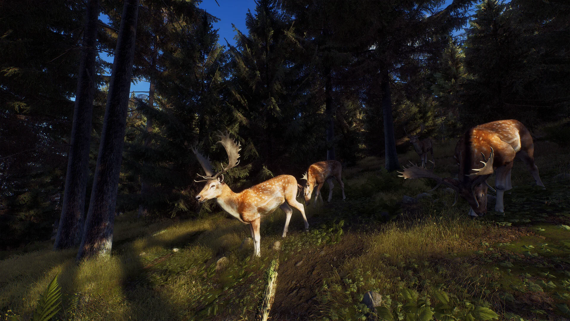 Way of the Hunter screenshot 2