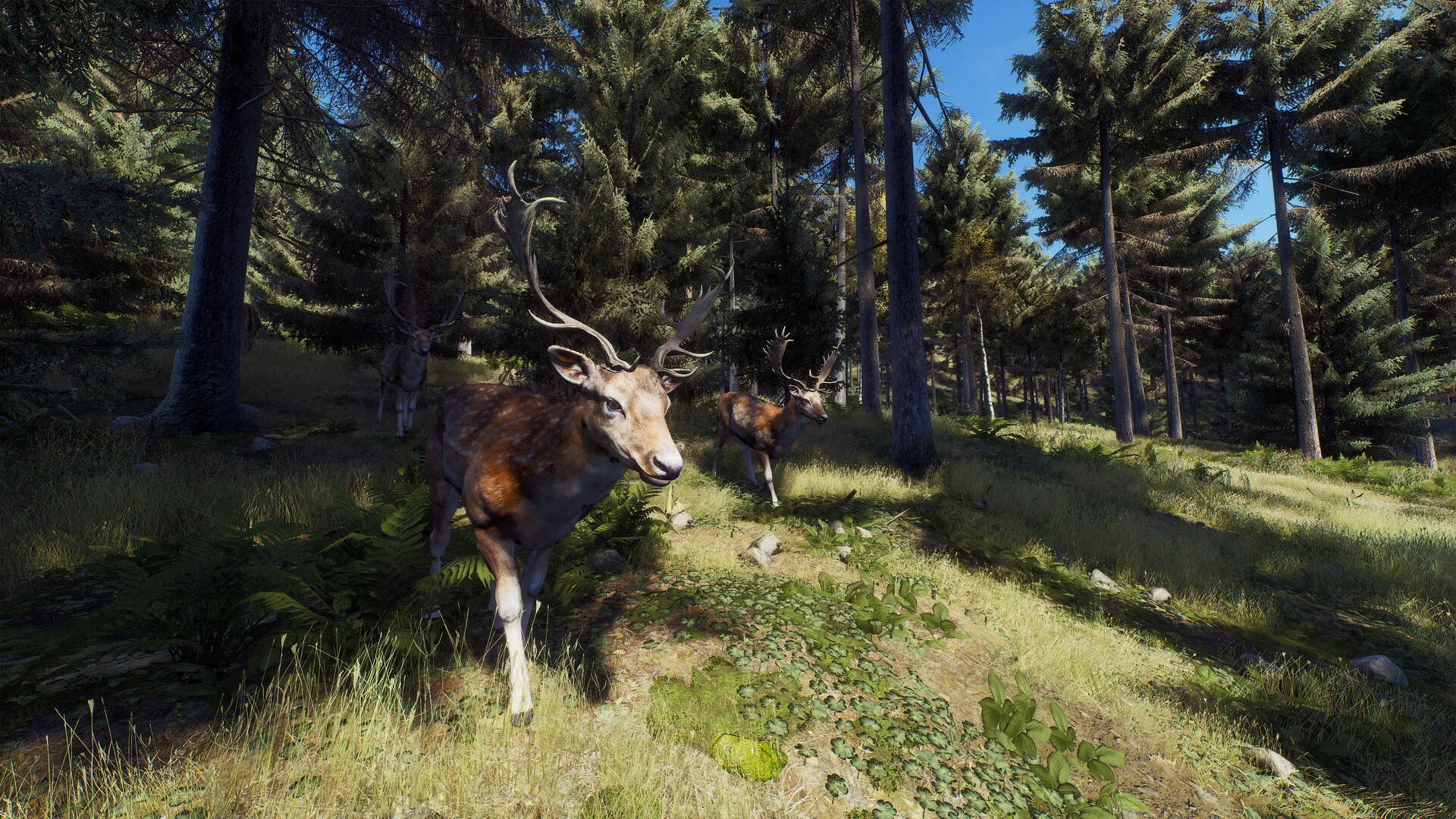 Way of the Hunter screenshot 22