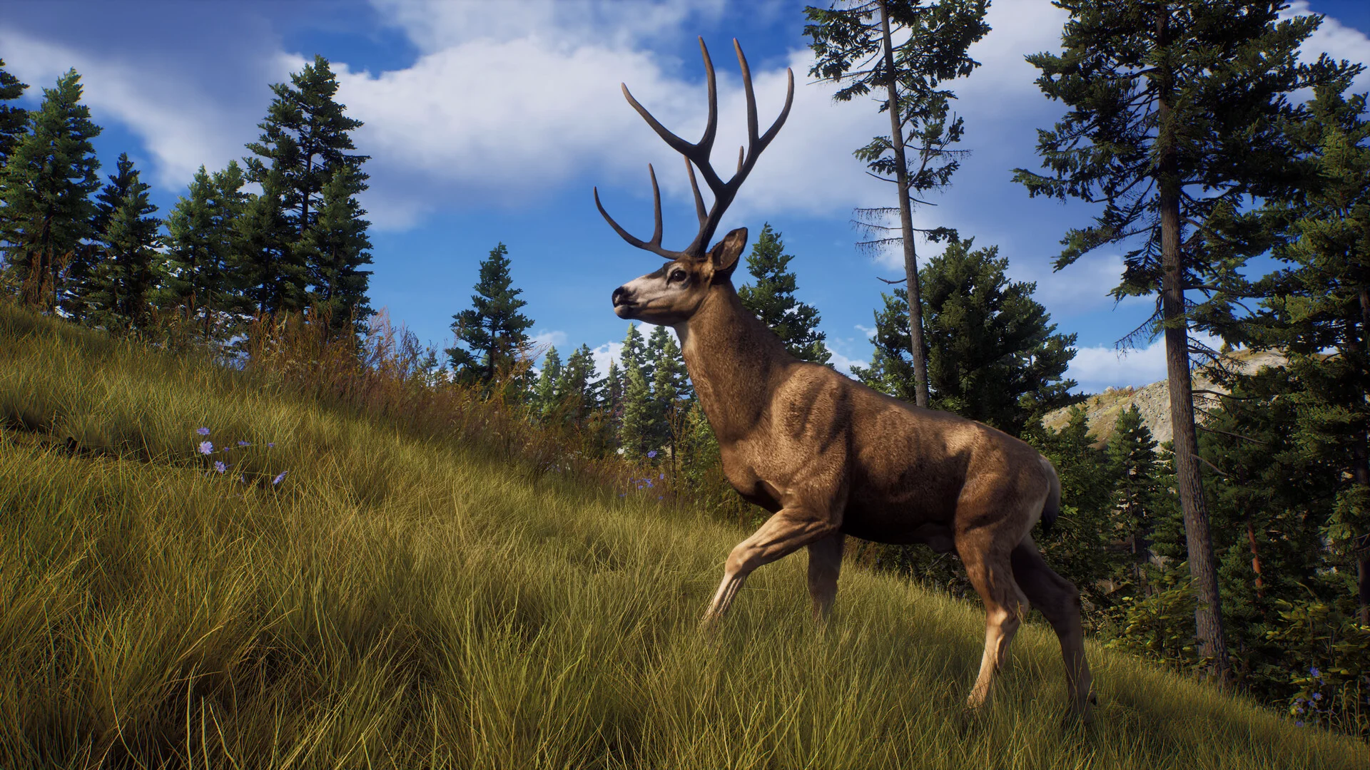 Way of the Hunter screenshot 23