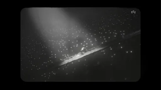 White Shadows screenshot 1