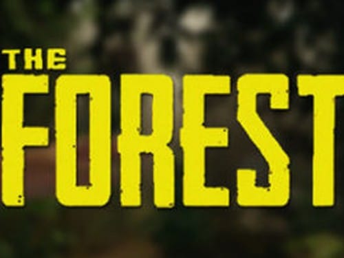 the forest