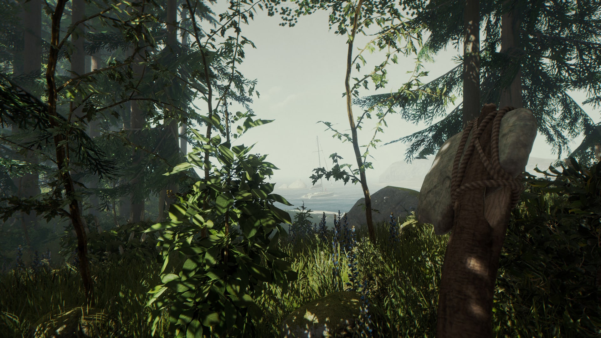 The Forest Download Gratis Ita