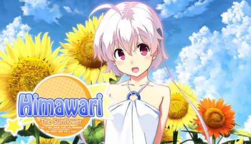 Himawari – The Sunflower