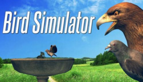 Bird Simulator free
