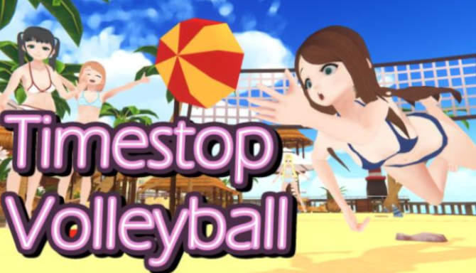 Timestop Volleyball free